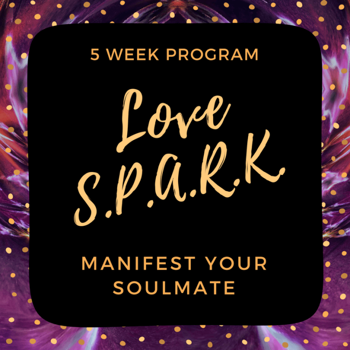 Love Spark Program